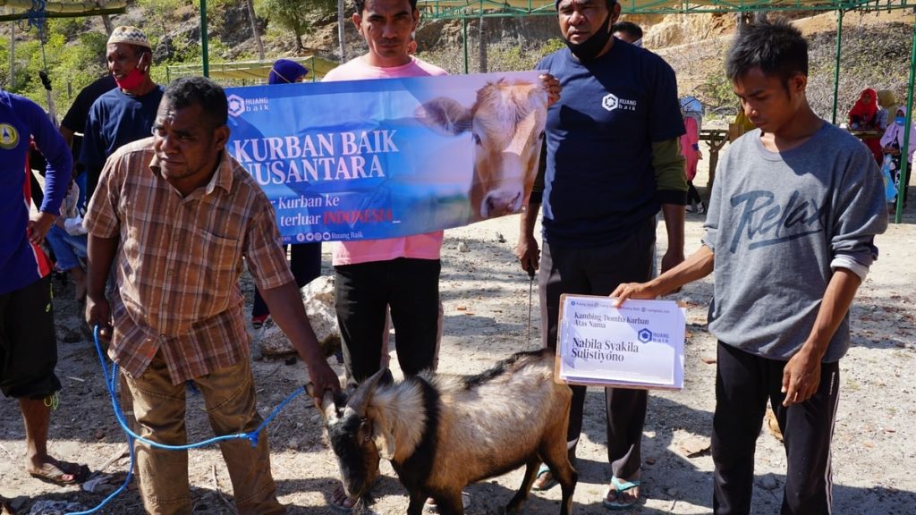 Kambing Lokal, hewan kurban donatur Ruang Baik