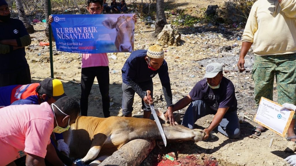 proses pemotongan Sapi Kurban dari Mudhohi yang berkurban melalui Ruang Baik, 31 Juli 2020