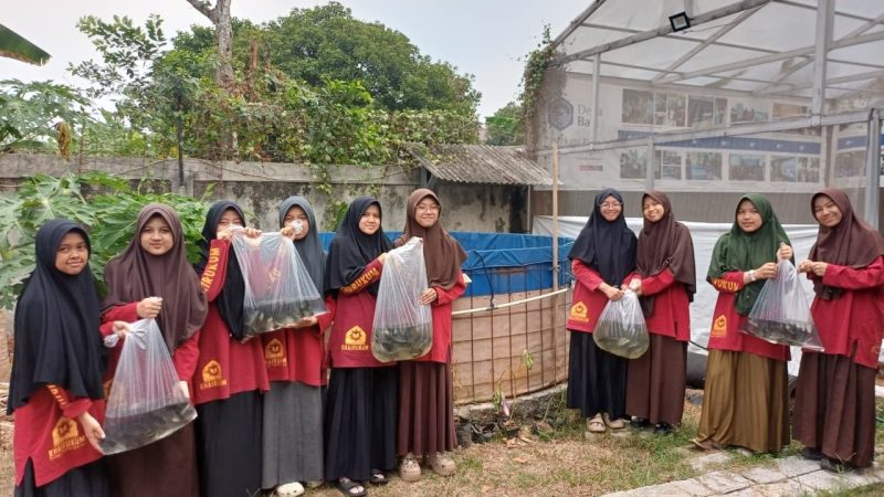 115 Bibit Ikan Nila Menumbuhkan Harapan Kemandirian di RTQ Khairukum